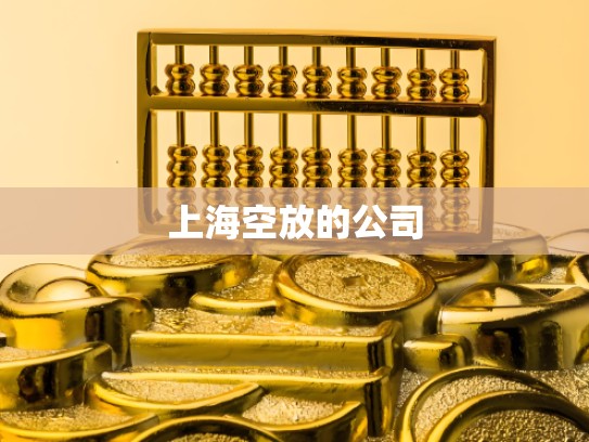 上海空放的公司