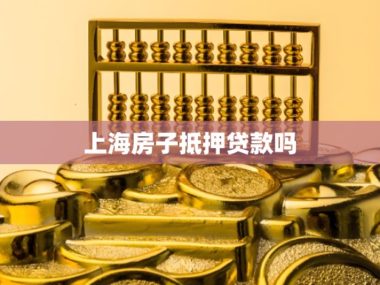 上海房子抵押贷款吗