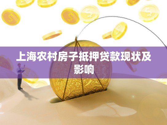 上海农村房子抵押贷款现状及影响