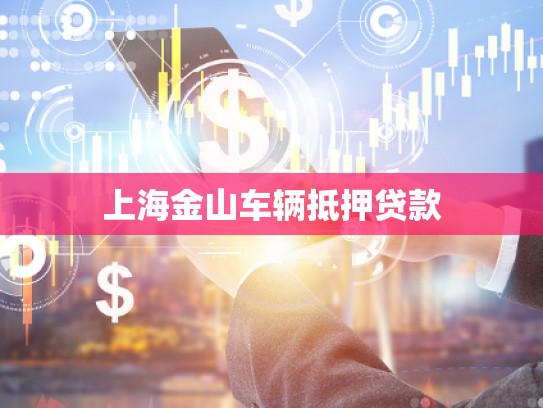 上海金山车辆抵押贷款