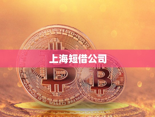 上海短借公司