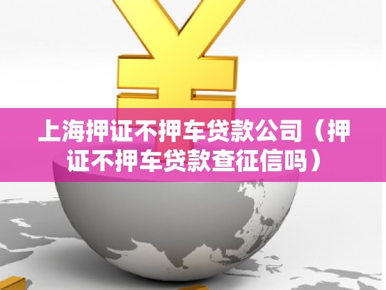 上海押证不押车贷款公司（押证不押车贷款查征信吗）