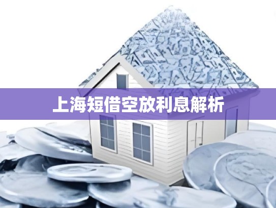 上海短借空放利息解析